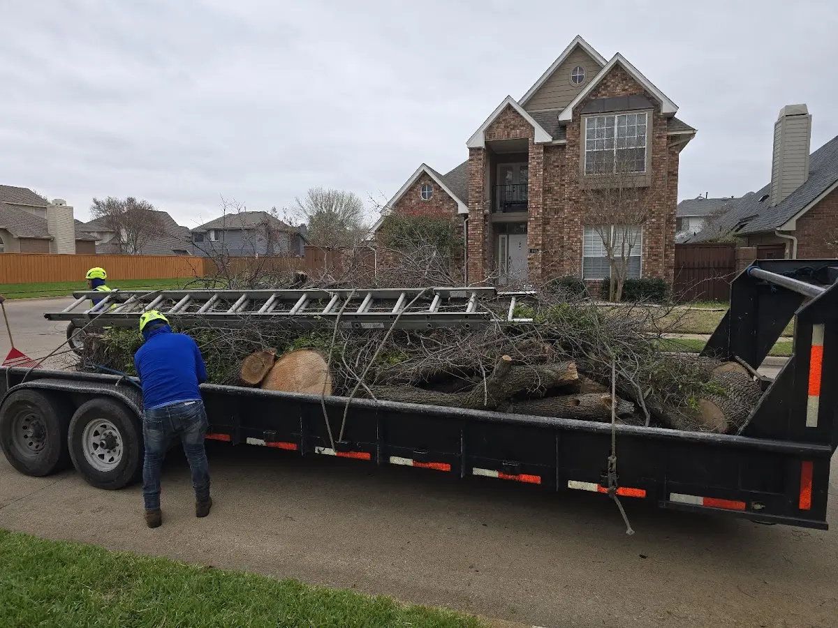 Expert Lot Clearing with proper safety equipment in Coaldale